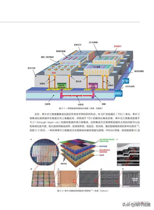 智能微系統技術白皮書 構筑人工智能基礎資源與技術的微觀基石
